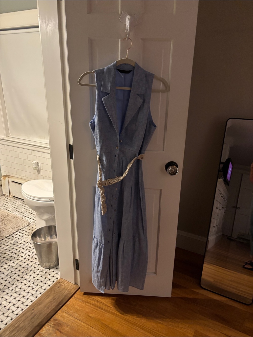 Zara Light Blue Sleeveless Button-Front Maxi Dress